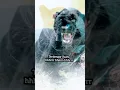 Download Lagu Kenali Tanda tanda ‼️ khodam macan kumbang datang di dekatmu ,selain itu siluman / iblis #shorts