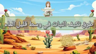 طرق تكيف النبات في وسط قليل الماء  دندنها