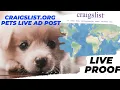 Craigslist org Pets Section - 100 Live Ad Post Proof Revealed
