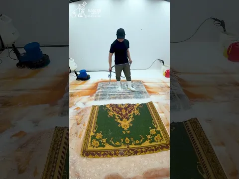 Sit back, relax, and enjoy the carpet transformation. π«§ #relax #carpetcleaning