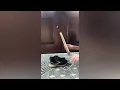 Best Shoe Horn Review - Velette s Long Handle Design Works