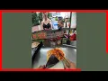 LIVE ASMR Busy Grill Sounds Morning 260821