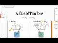 A Tale of Two Ions - Ion Selective Electrodes