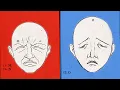 How emotions work Neuroscientist Lisa Feldman Barrett
