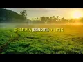 Lagu Sherina - sendiri (lirik)