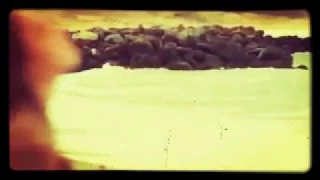 اذا شايفني مش عم ببكي ليش انت خليت دموع دندنها