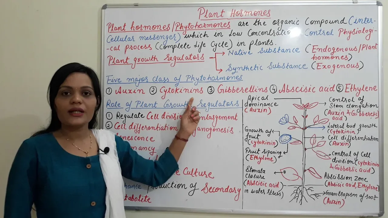 Class (23) = Introduction to Plant Hormones and its Application | Types & Functions of Plant Hormone