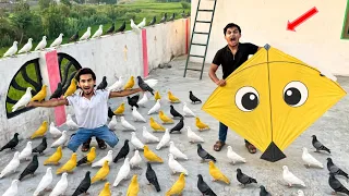 50 Lucky Kabooter Buy Abubaker With Cutting Kite Catch Umar Village Street