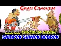 Lagu GEGERR..!! BAGONG LUCU BIKIN PERUT KAKU 🌟 WAYANG KULIT KI SENO NUGROHO