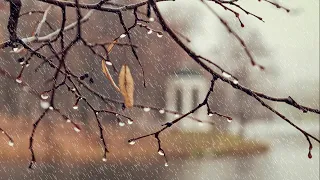 LIVE RADAR Atmospheric river sweeps into western Washington