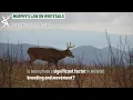 Whitetail Movements Moon Myths Murphy s Law On Whitetails