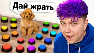 Один ДЕНЬ с МОЕЙ СОБАКОЙ 🐶