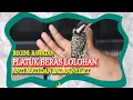 Lagu CARA MELOLOH ANAKAN BURUNG PELATUK BERAS| TIPS LENGKAP MERAWAT PELATUK SAMPIT/ PELATUK BERAS