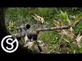 GunSkins Rifle Skin DIY Install Tutorial
