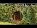 oddly terrifying reddit 1 hour