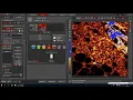 Leica DM6 Microscope Tutorial