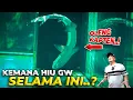 Download Lagu AKHIRNYA HIU YANG PERGI, KEMBALI LAGI KE DEHAKIMS..!