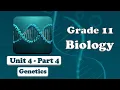 Grade 11 Biology UNIT 4 Genetics Part 4 Mr Ebisa Geleta