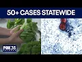 Florida Cyclosporiasis cases top 460 after surge