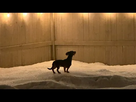 Footprints in the Snow - Short Film