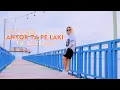 Download Lagu ANYOR TA PE LAKI - MCP SYSILIA (Official Music Video)