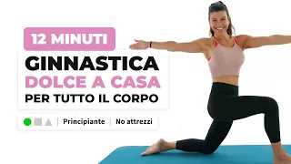 Ginnastica Dolce A Casa: Esercizi Facili Per Tutto Il Corpo