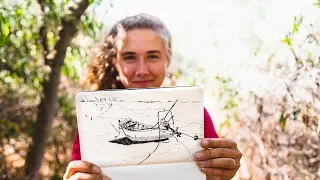 Searching for Flamingos (Sketchbook Stories 2)