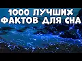 1000 ЛУЧШИХ ФАКТОВ ДЛЯ СНА