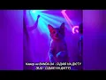 Download Lagu Кавер на BANDA UA - СІДАЮ НА ДІЄТУ  #хочуврекомендації #shorts #bandaua #українськамузика #рек