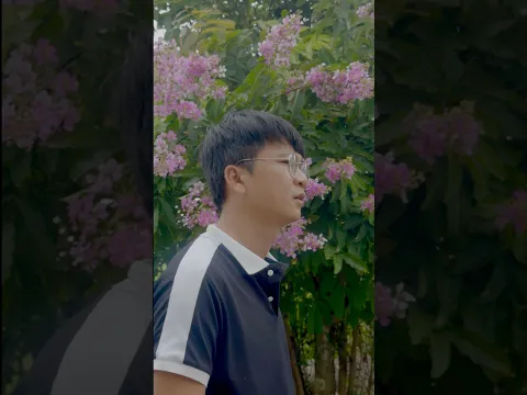 Khi nào có bằng lái thì làm nhạc lại heee 🤣 #phanann