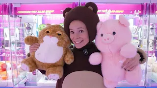 Медведь охотится на игрушки в игровом центре Plush Pals | Маленькая Вера и Медведь