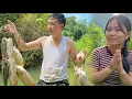 Download Lagu Leaving the city for the forest: CEO jack and (tieu ly) work and live in isolation from the outside