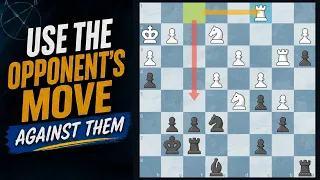 The Drawback Principle In Chess Find It Win More Games