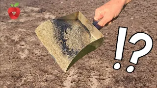 Truths and misconceptions about using ashes in the garden! You need to know this!
