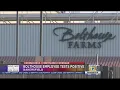 Bolthouse Employee Tests Positive