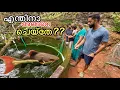 Download Lagu ചൂണ്ടയിൽ പിടിച്ച മീനിനെ എലി തിന്നു | Rat ate Kerala Snakehead ALIVE”