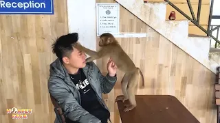 Dad and Monkey Kaka still show love and care for each other whenever they meet.