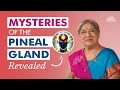 What is Pineal gland Third eye activation How to activate pineal gland Melatonin Intuition