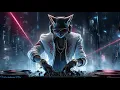 Download Lagu 🔊Drum and bass Music for Ukraine 2025 ( Technological songs ).  Драменбейс DJ Cat