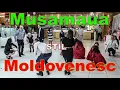 Download Lagu Musamaua in Stil Moldovenesc | Petru Ursache Evenimente