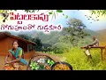 Lagu Andhra Tribal Cooking:చేనికాపులో పిట్టలకోసం ఎన్ని రకాలో// గోగుపూలతో గుడ్లపులుసు @TribalMirror 