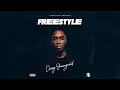 Download Lagu Young Wild Darry - Freestyle