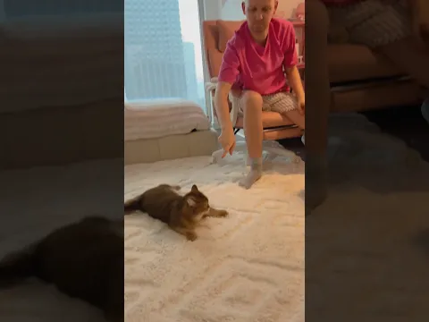 Best cat ever π₯³