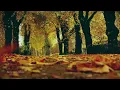 [Piano 1 HOUR]  Autumn Leaves / 고엽 / 피아노 편곡 연주 / Piano Solo  / 1시간 듣기