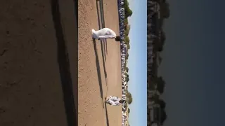 هيثم زمراوي الفريع زواج اولاد عبدالعزيز عمار والكوري 