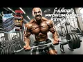 1 Andro Single Compound Prohromones Explained