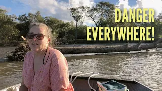 Ep 377 | The WORST is Yet to Come, The AFTERMATH of Cyclone Alfred, Nutshell Nuthouse