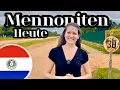 Download Lagu Der unbekannte Einfluss der Mennoniten in Paraguay: Was steckt dahinter?