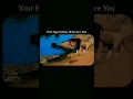 Download Lagu Bot kak to tak#your ego define who you are #trendingshorts #king of life