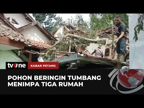 Pohon Beringin Tumbang Timpa Tiga Rumah di Kuningan, Empat Orang Alami Luka